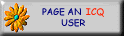 Page an ICQ User
